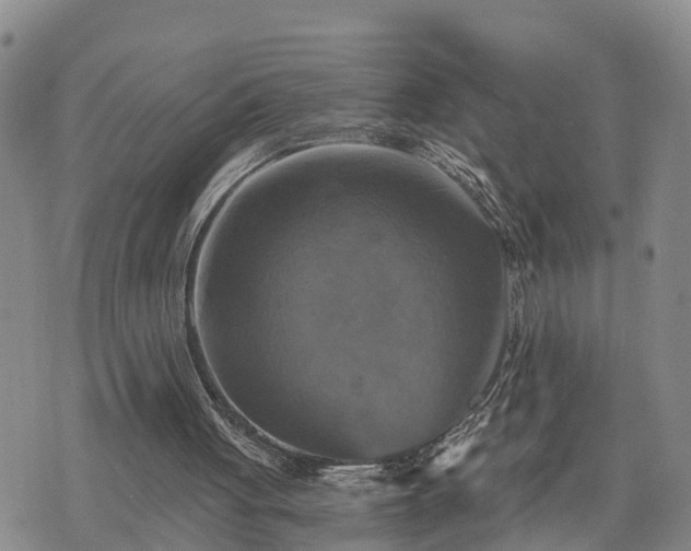 X0000075860051200609221806