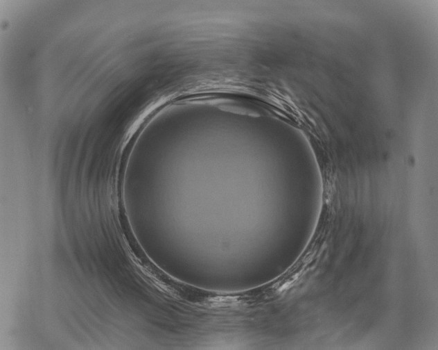 X0000075860052200609221806