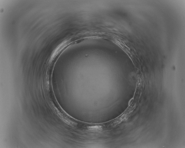 X0000075860053200609221806