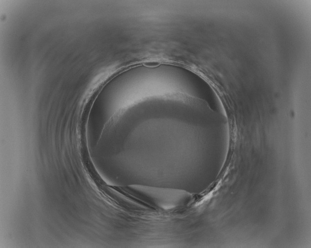 X0000075860055200609221806