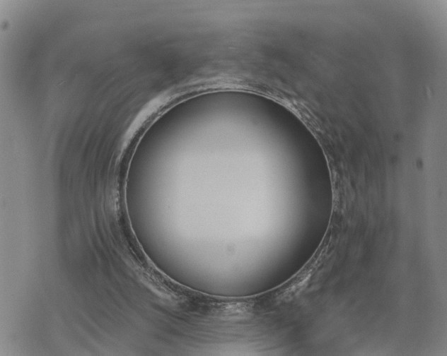 X0000075860056200609221806