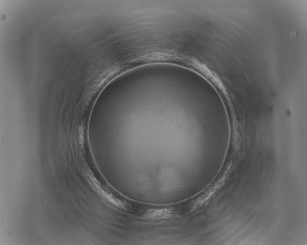 X0000075860057200609221806