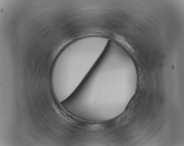 X0000075860058200609221806