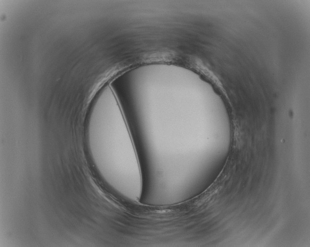 X0000075860059200609221806