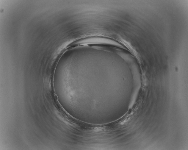 X0000075860060200609221806