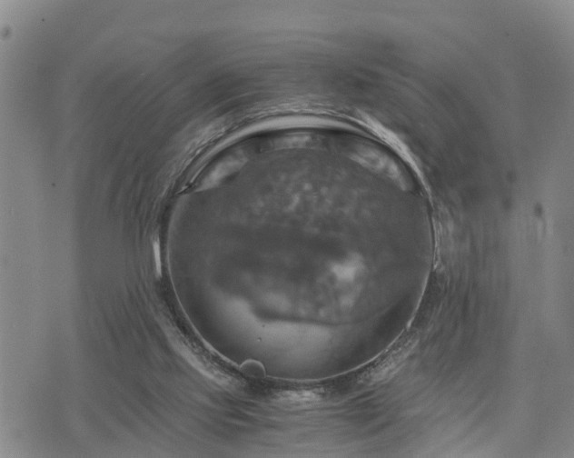 X0000075860061200609221806