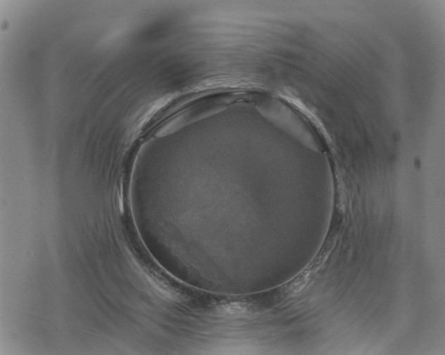 X0000075860062200609221806