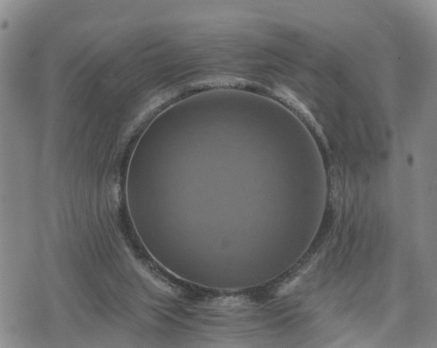 X0000075860063200609221806