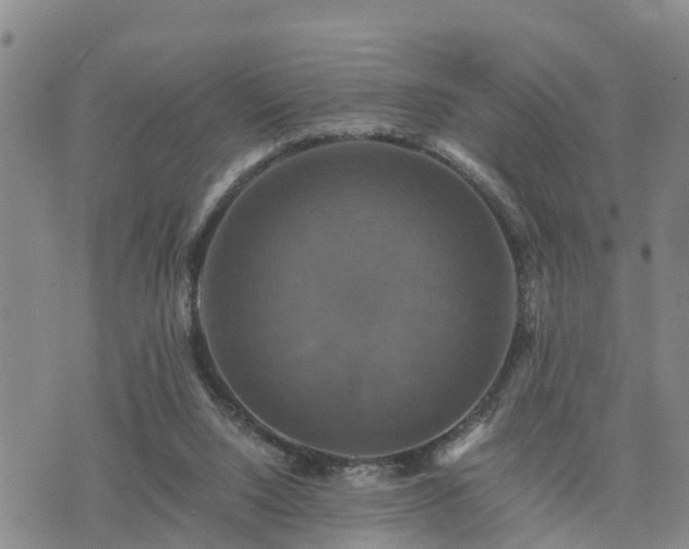 X0000075860064200609221806