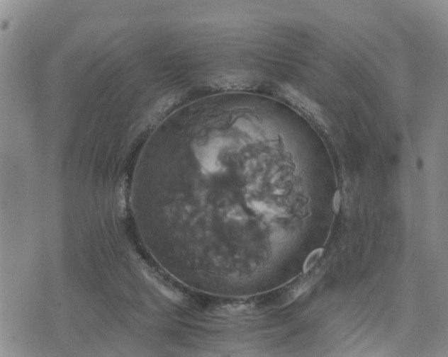 X0000075860065200609221806