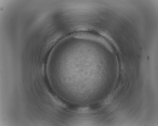 X0000075860066200609221806