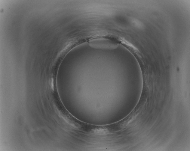 X0000075860067200609221806