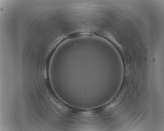 X0000075860068200609221806