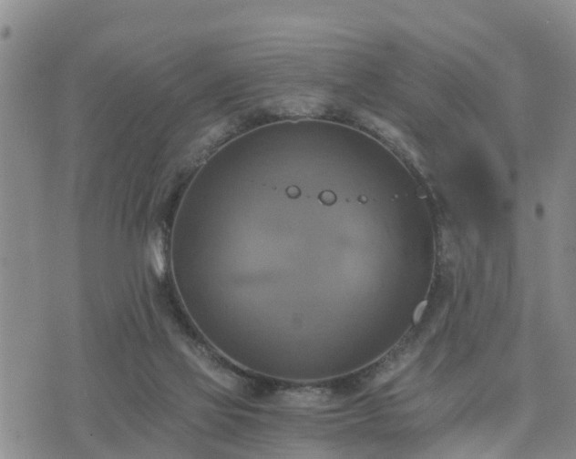 X0000075860069200609221806