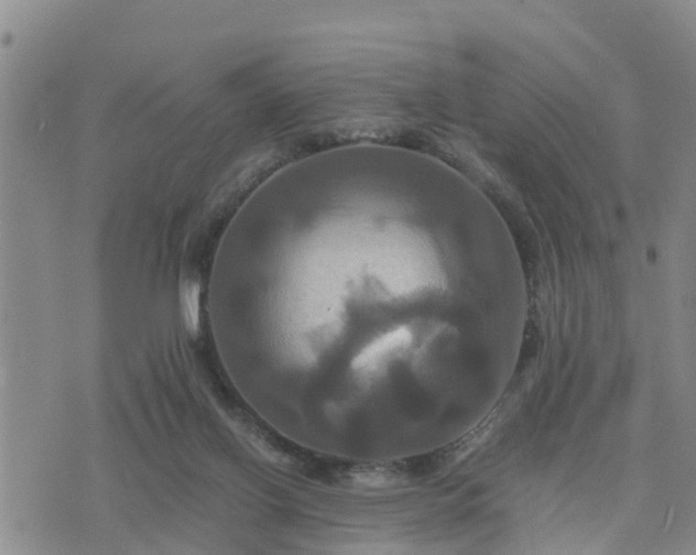 X0000075860070200609221806