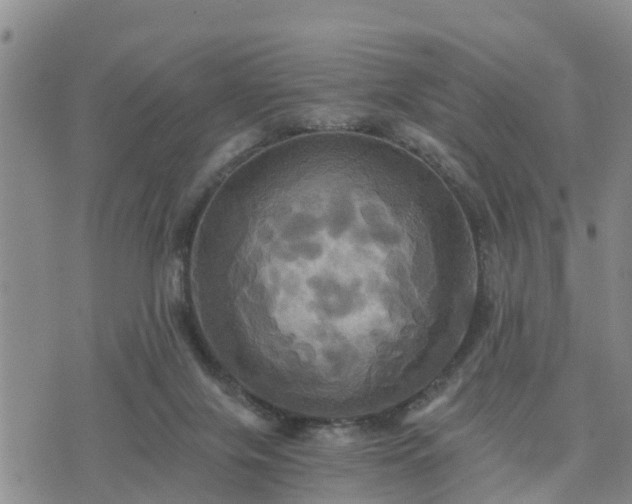 X0000075860071200609221806