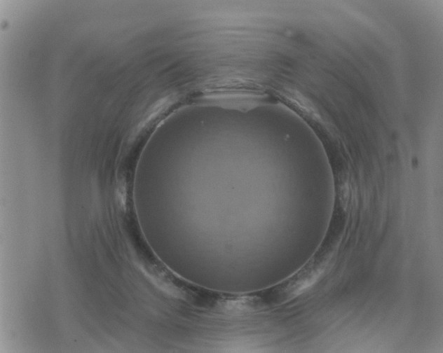 X0000075860072200609221806