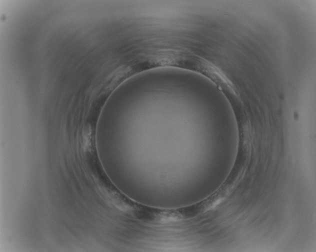 X0000075860073200609221806