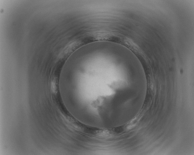 X0000075860074200609221806