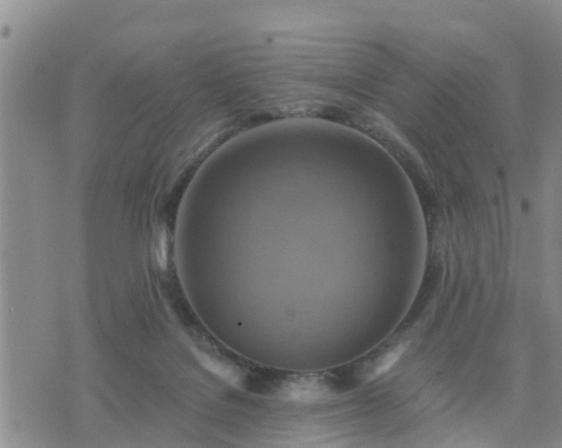 X0000075860076200609221806