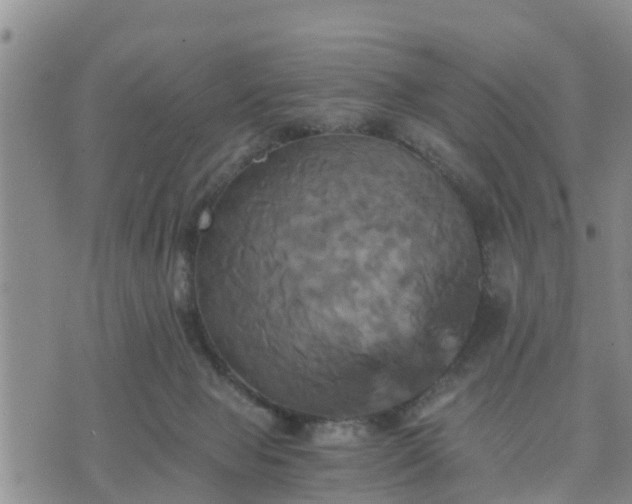 X0000075860077200609221806