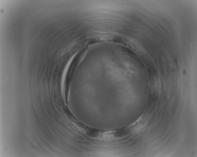 X0000075860078200609221806