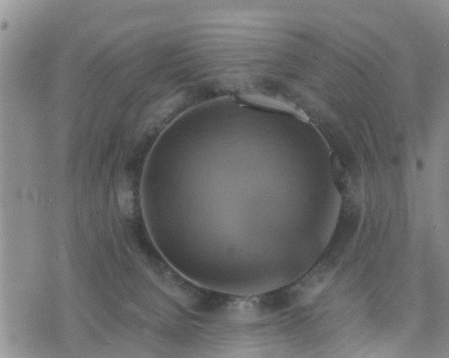 X0000075860080200609221806