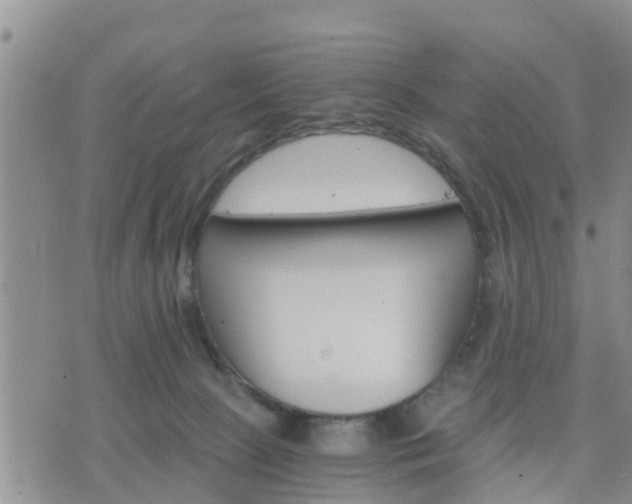 X0000075860081200609221806