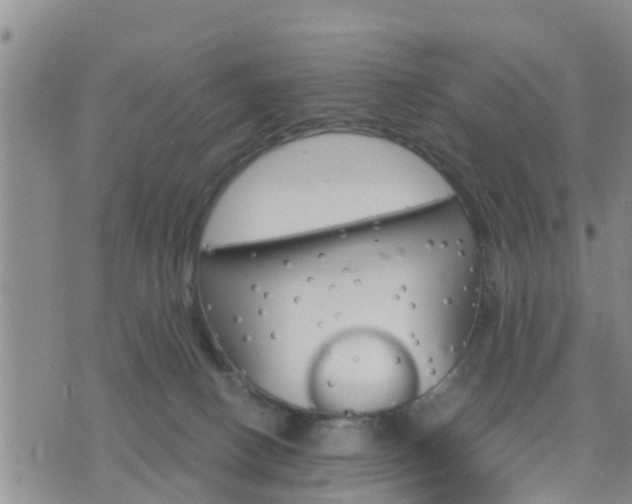 X0000075860082200609221806