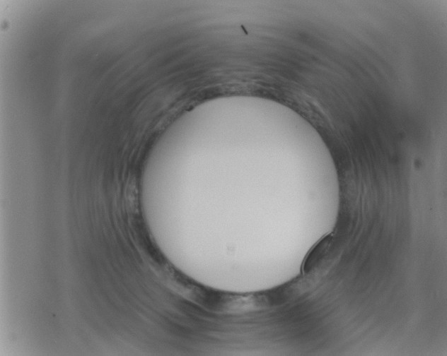 X0000075860083200609221806