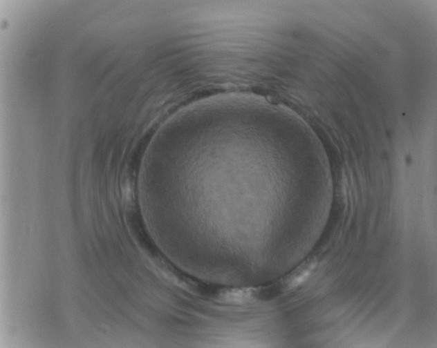 X0000075860084200609221806