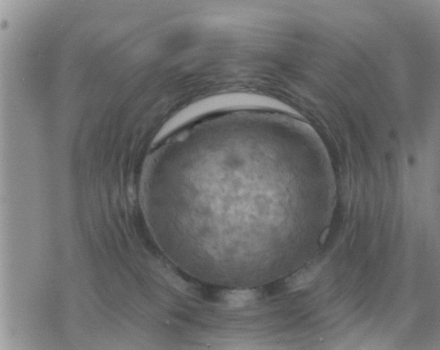 X0000075860085200609221806