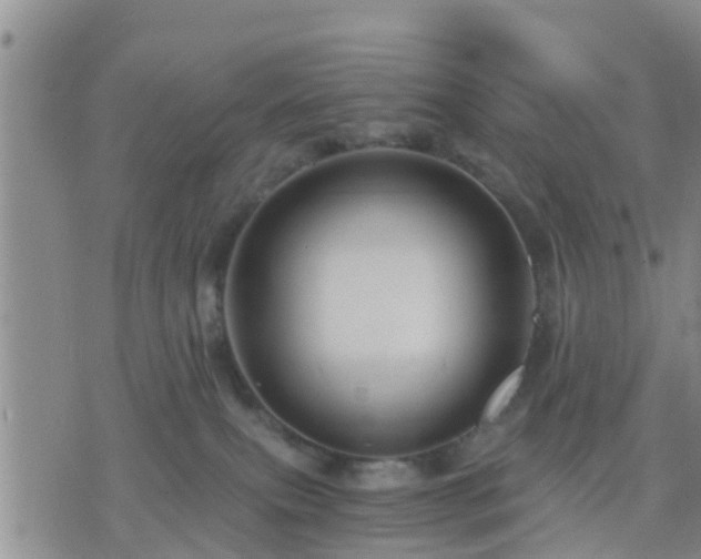 X0000075860087200609221806