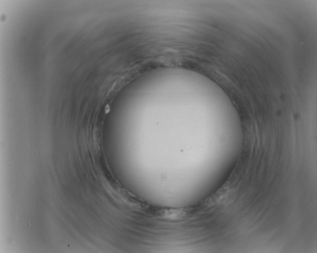 X0000075860088200609221806