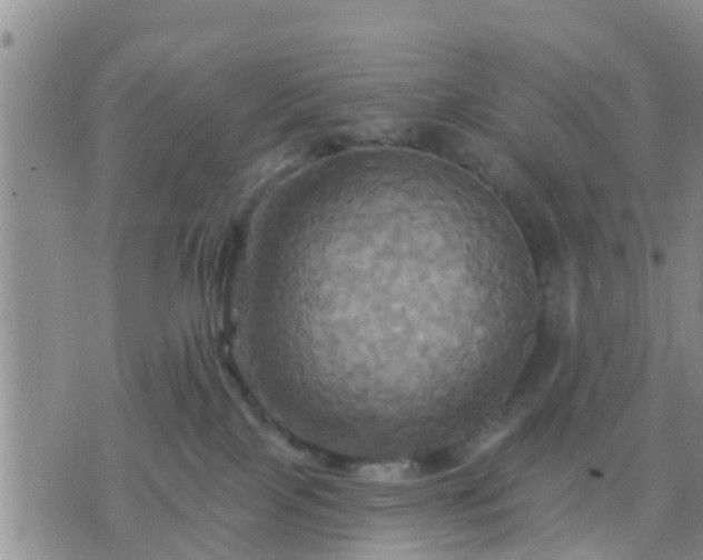 X0000075860089200609221806