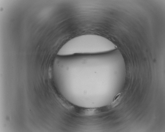 X0000075860090200609221806