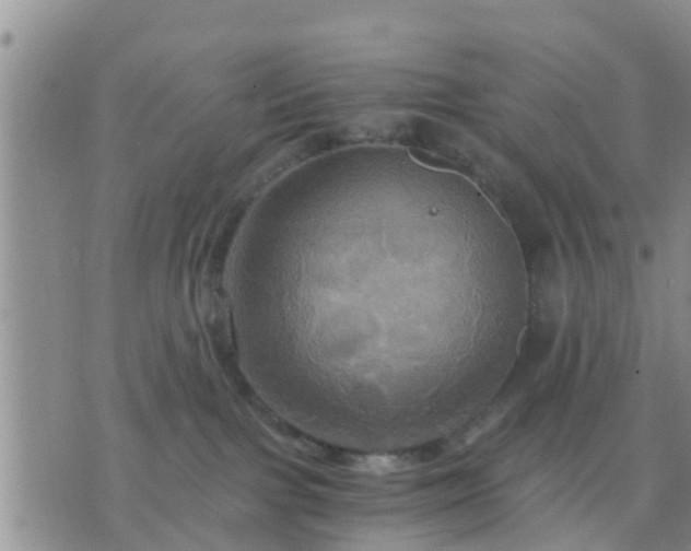 X0000075860091200609221806