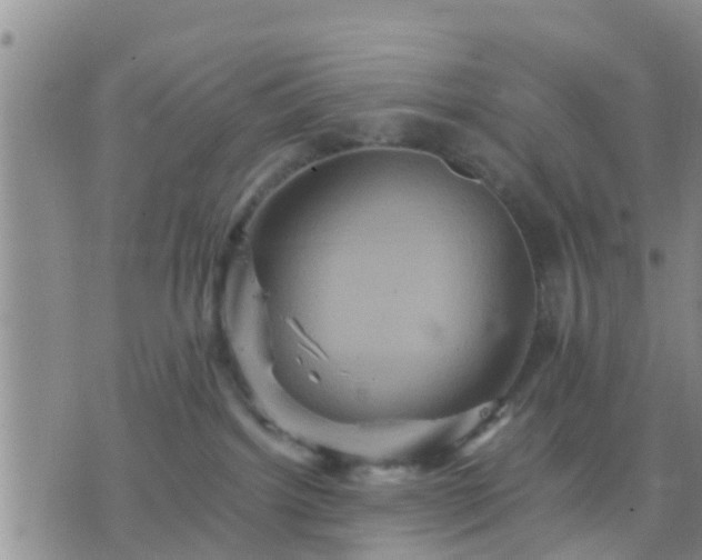 X0000075860092200609221806