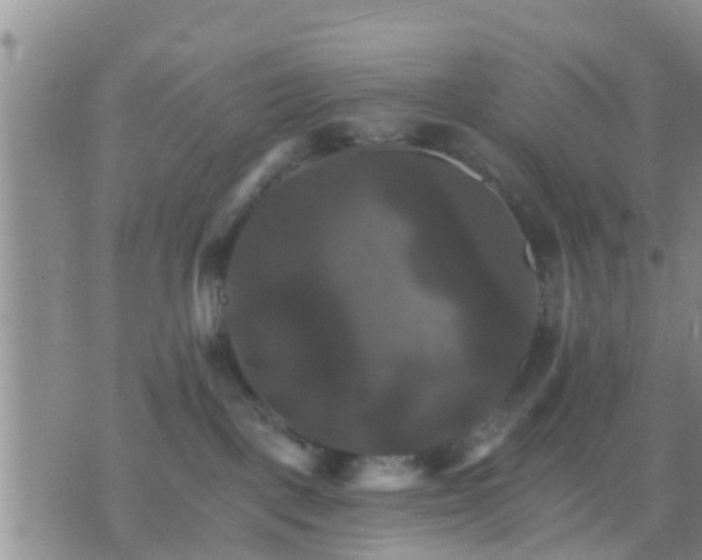 X0000075860093200609221806