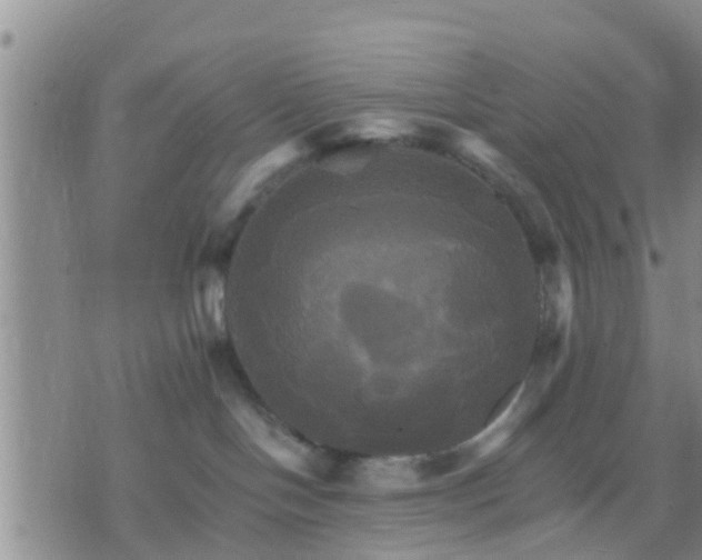 X0000075860094200609221806