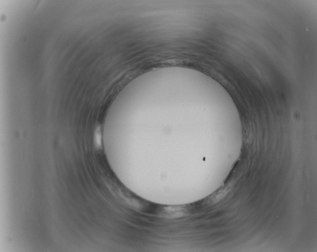 X0000075860095200609221806