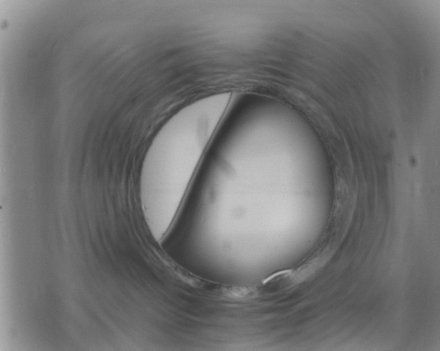 X0000075860096200609221806