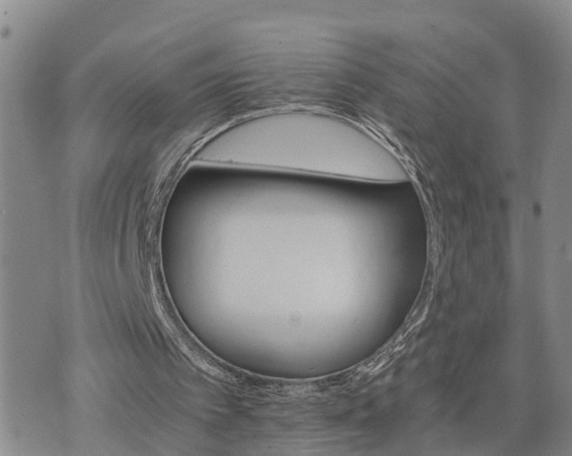 X0000075860097200609221806