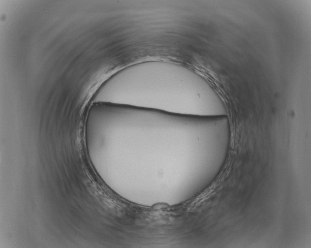 X0000075860098200609221805