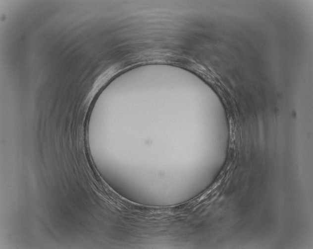 X0000075860099200609221805