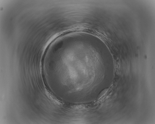 X0000075860100200609221805