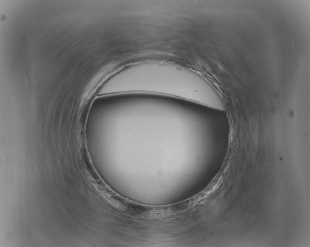 X0000075860101200609221805