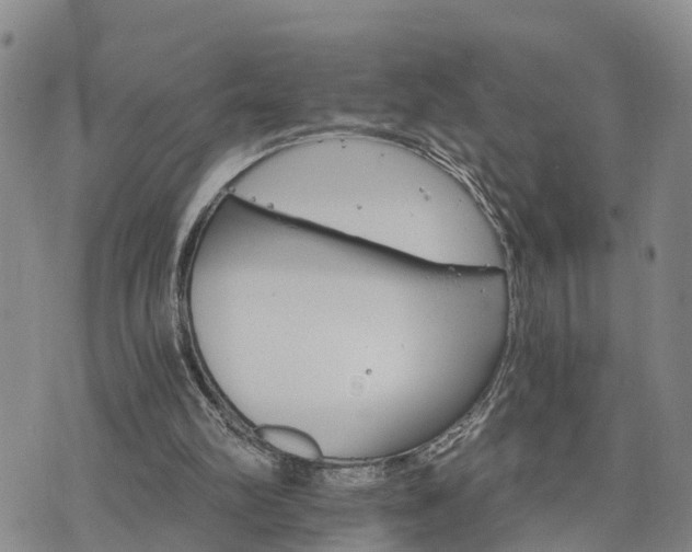 X0000075860102200609221805