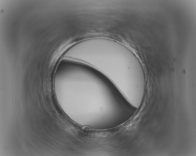 X0000075860103200609221805