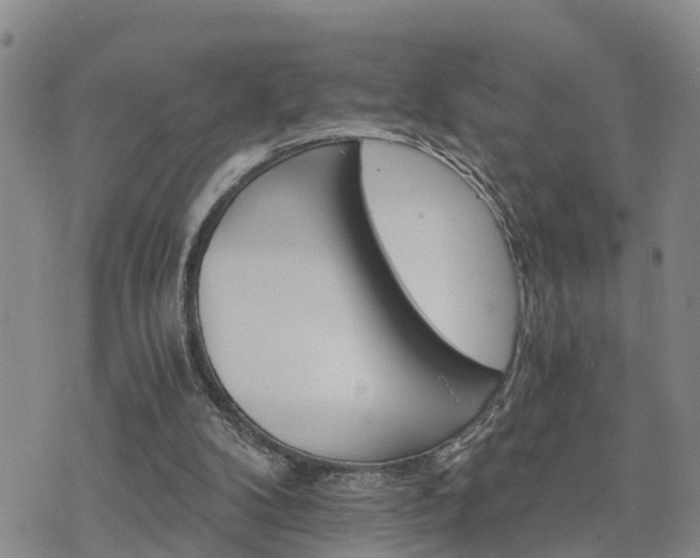 X0000075860104200609221805